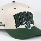 The 1995 Hat | Khaki/ Hunter Green
